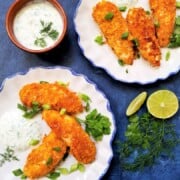 Sea Salt and Vinegar Chicken Tenders